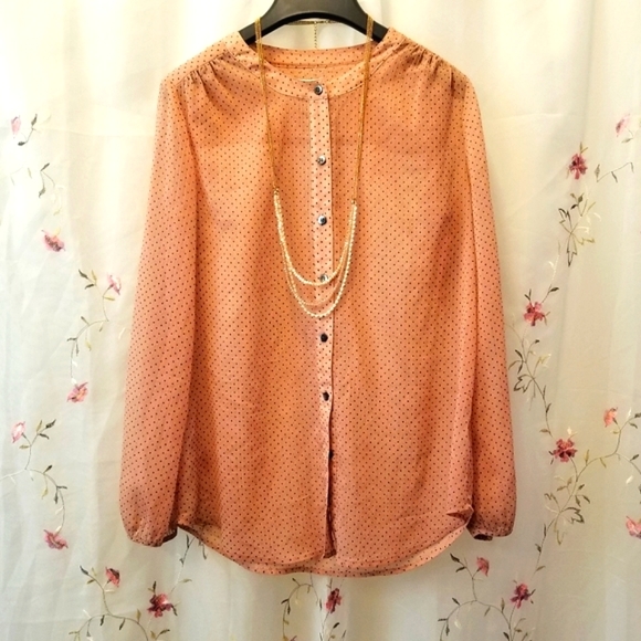 Broadway & Broome Tops - SPECIAL! 3/$12 Broadway & Broome Sheer Blouse